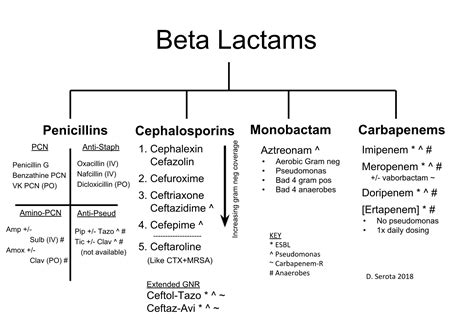 beta lactamase antibiotics|WHO Lists Antibiotic.